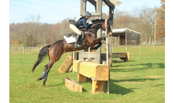 Big image mini magick20211223 13347 k5smci