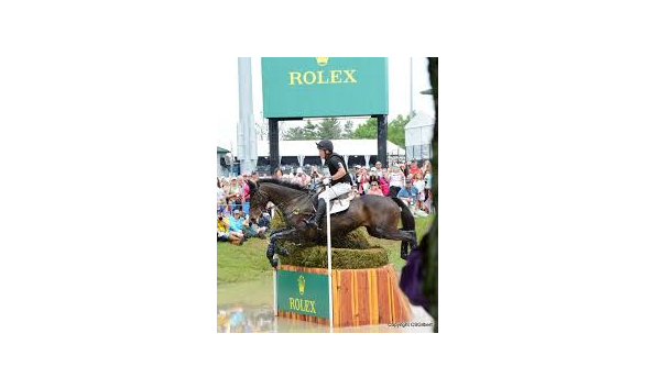 Big image mini magick20211223 13347 yl17tp