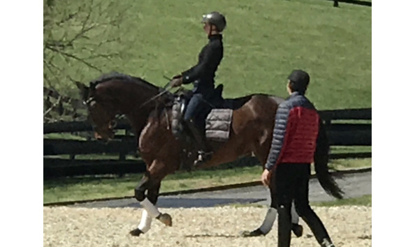 Big image mini magick20211223 13347 v6m2rl