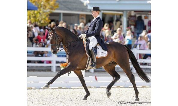 Big image mini magick20211223 13347 1vuzfhu