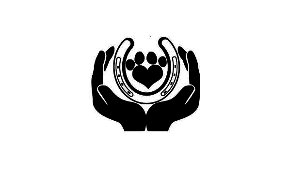 Big image mini magick20211223 13347 uasrua