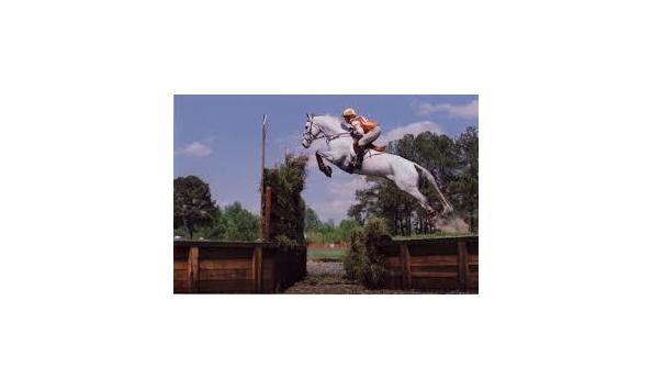 Big image mini magick20211227 28254 b9021o