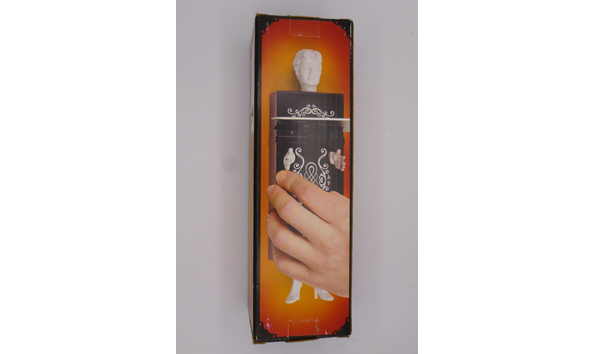 Big image mini magick20220112 69219 iclph