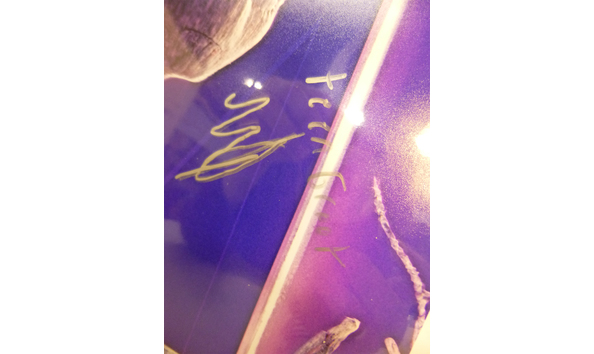 Big image mini magick20220112 69219 o76n9p