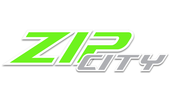 Big image zip city neon logo