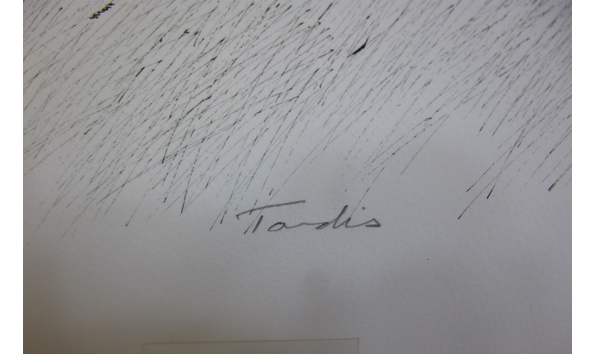 Big image 202102art003 4   doctor who tardis illustration