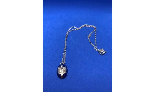 Big image 202110jwy028 necklace damons crest 1