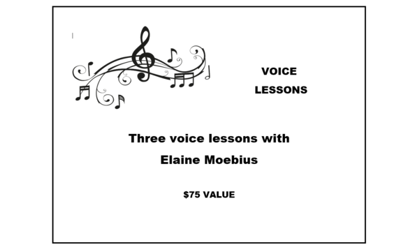 Big image elaine moebius lessons