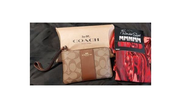 Big image coach purse and scarf