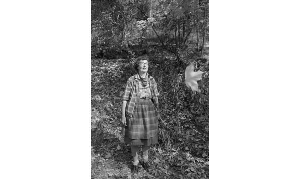 Big image frances leaf   suzanne opton