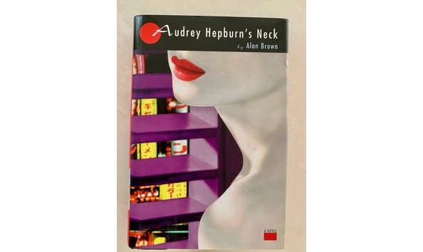 Big image novel front cover