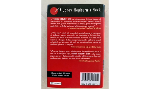 Big image novel back cover