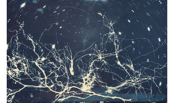 Big image screen shot 2021 11 15 at 9.09.21 pm   kristin jones