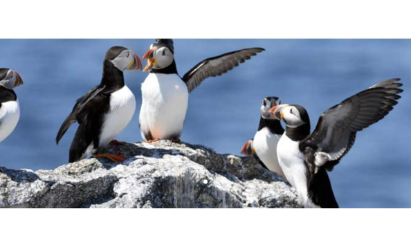 Big image screen shot 2022 01 26 at 9.31.06 pm