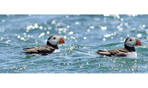 Big image screen shot 2022 01 26 at 9.31.12 pm