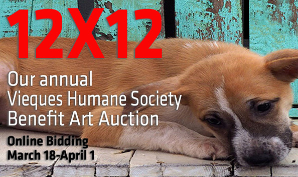 Organization Main Image