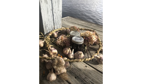 Big image mini magick20220131 81977 1l41nxx