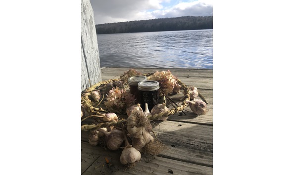 Big image mini magick20220131 81977 xwuotg