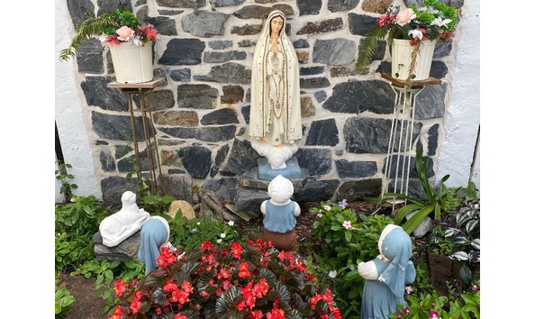 Organization Main Image