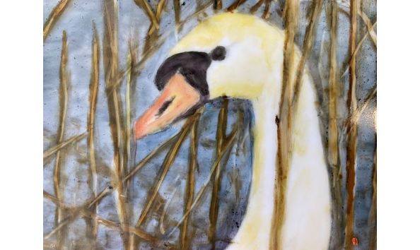 Big image plate swan close up head