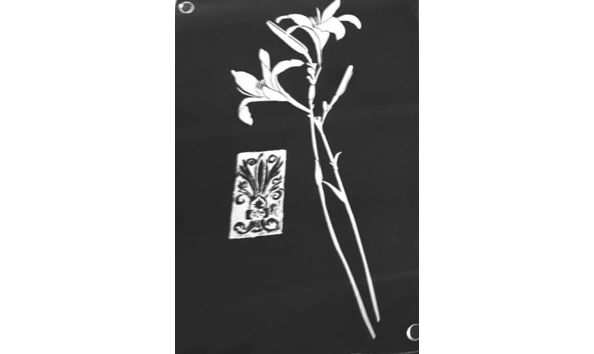 Big image glass placemats black 