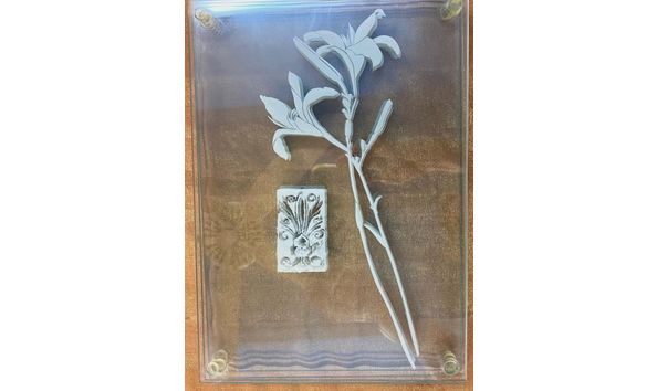 Big image glass placemats