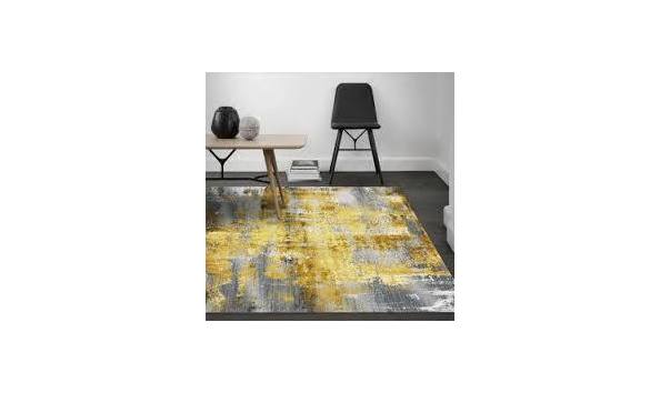 Big image rug in room