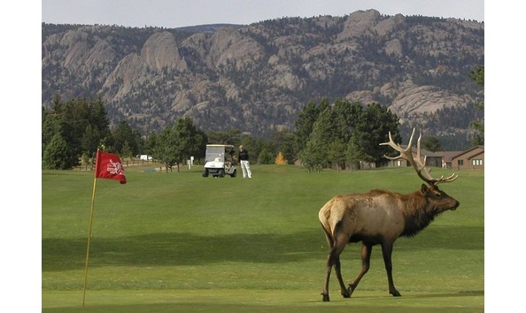 Big image estes 1
