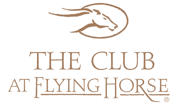 Big image flying horse logo