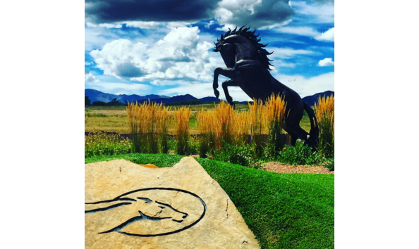 Big image flying horse