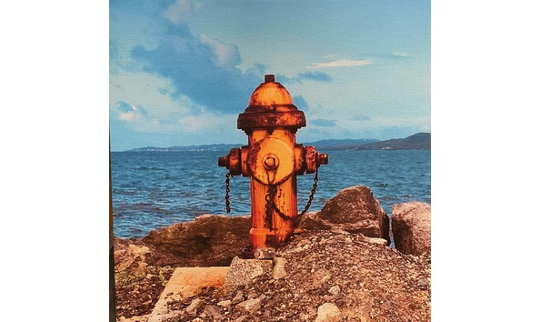 Big image elizabeth flynn