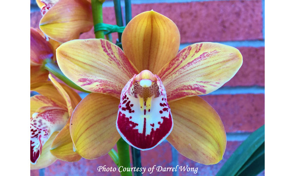 Big image lot xxx   cym. happy alex  splash 