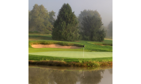 Big image boar s head birdwood the nest 2