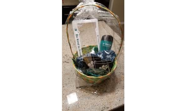 Big image 20171006 014659