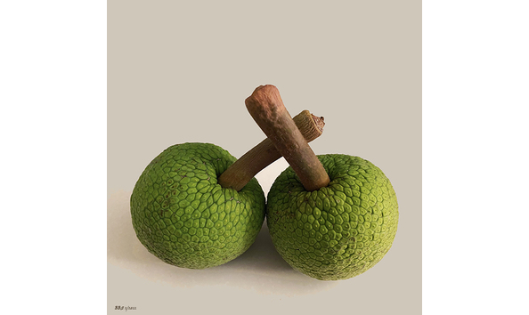 Big image brooke addison final small