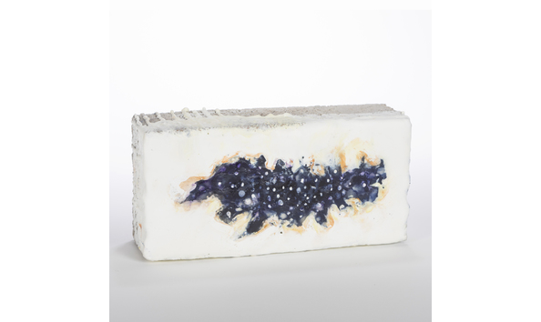 Big image batllo ines