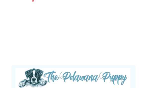 Big image screenshot 2022 03 14 130551