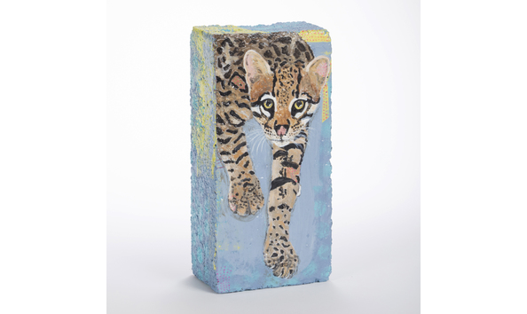 Big image nance stephanie