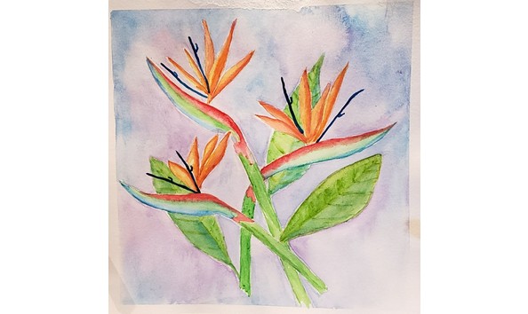 Big image donald gary reed