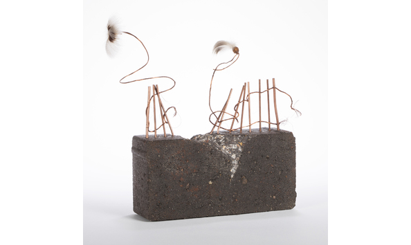 Big image sielbeck johnnie 2