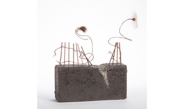 Big image sielbeck johnnie 3