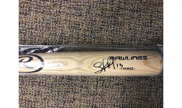 Big image salvy bat