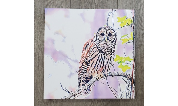 Big image 20220321 152125