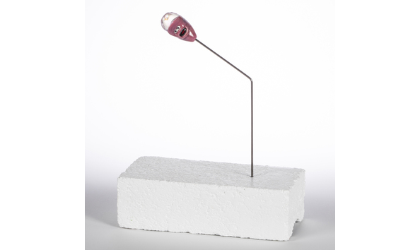 Big image woodqard karen 2