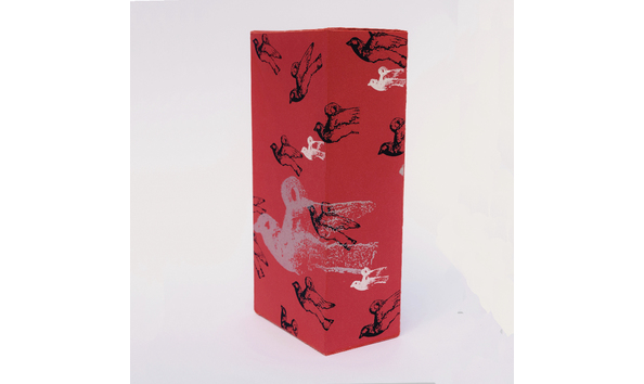 Big image sandracfernandez 1