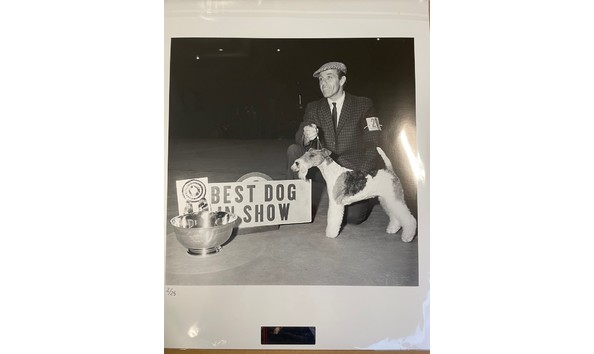 Big image thumbnail img 1244