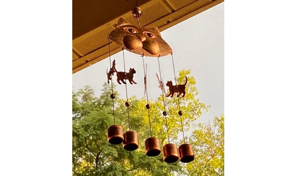 Big image il 1588xn.2715390886 eb8o