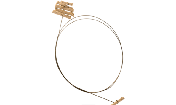 Big image cat dancer