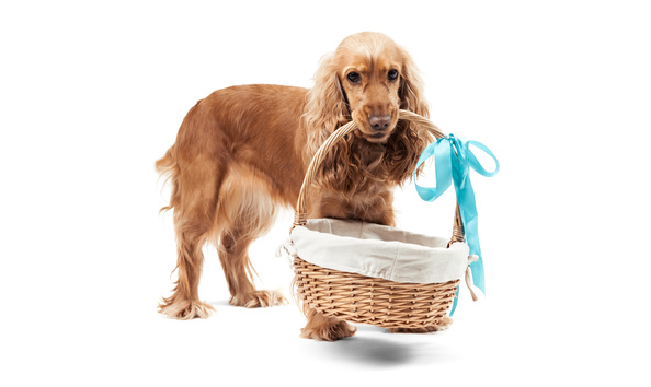 Big image adobestock 57023785