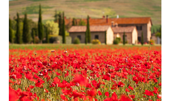 Big image shutterstock 79735279